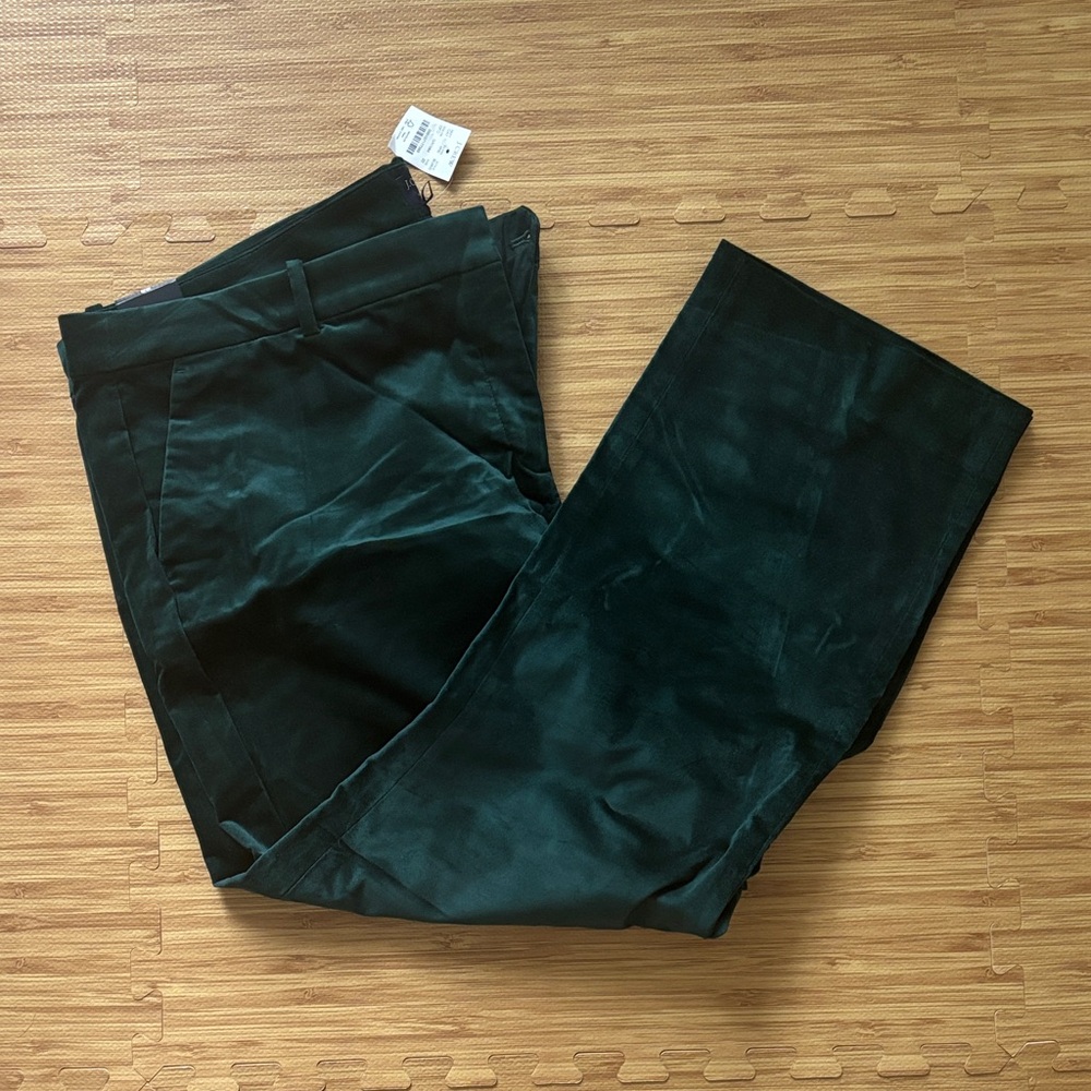 J. Crew Factory Dark Green Velvet Trousers 22